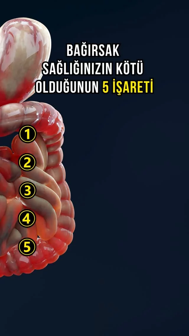 Daha fazla bilgi almak için web sitemizi ziyaret edebilirsiniz.

#bağırsak
#bağırsaksağlığı
#bağırsaksagligi
#bağırsakdostu
#bağırsakameliyatı
#bağırsakflorası
#bağırsakhastalıkları
#healthyeating
#intestinalhealth
#darmgesundheit
#gesundesessen
#sağlık
#saglıklıyaşam